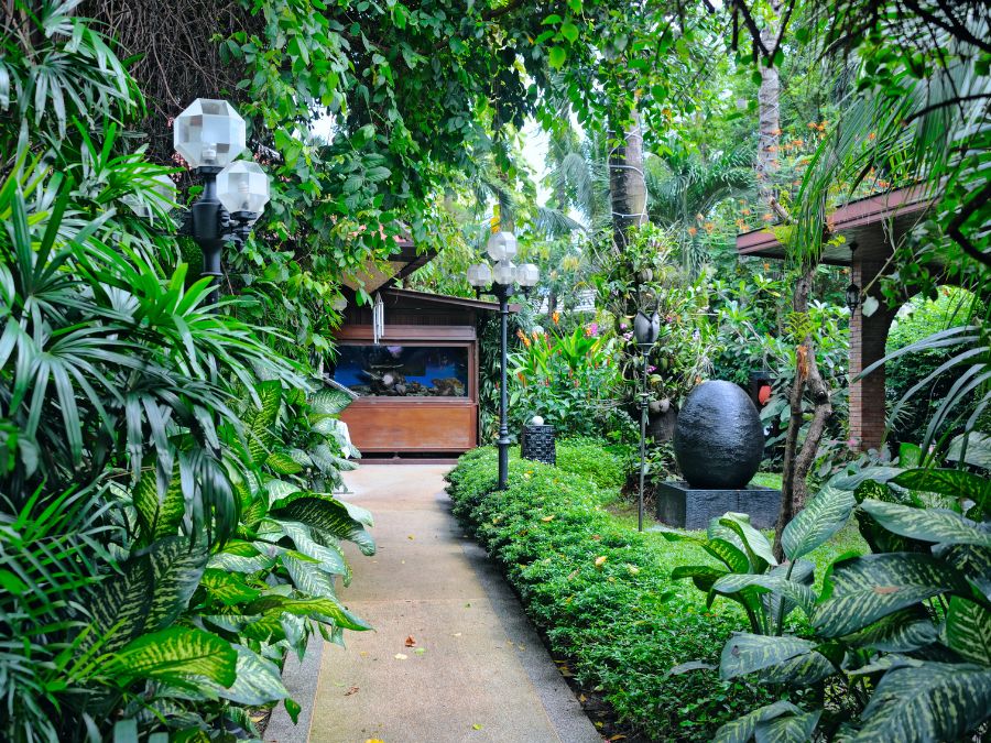 Tropical Gardens look so beautiful.