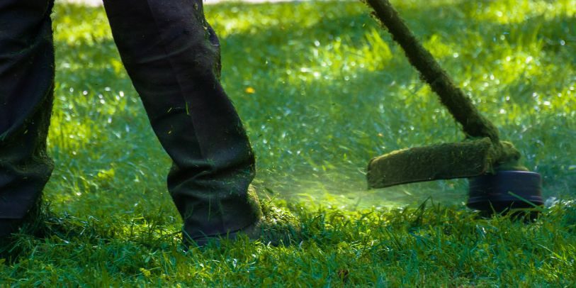 String Trimmer Cutting Lawn