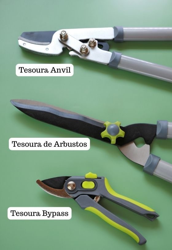 Different types of pruning shears: Anvil, shrub, and bypass.