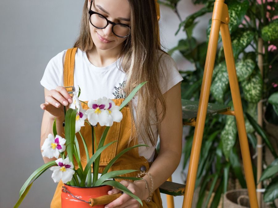 Escolher os melhores fertilizantes e montar um bom cronograma de adubação é um ato de carinho com suas orquídeas