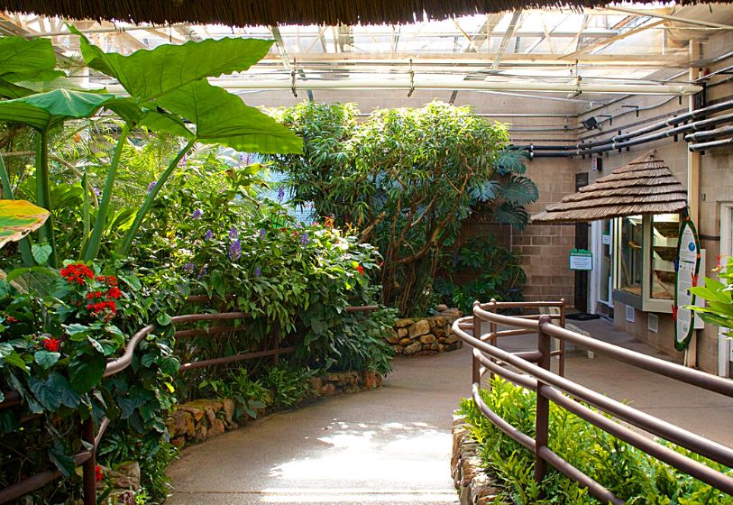 Butterfly Pavilion - A beautiful butterfly haven - Denver