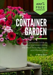Free Download Ebook Container Garden