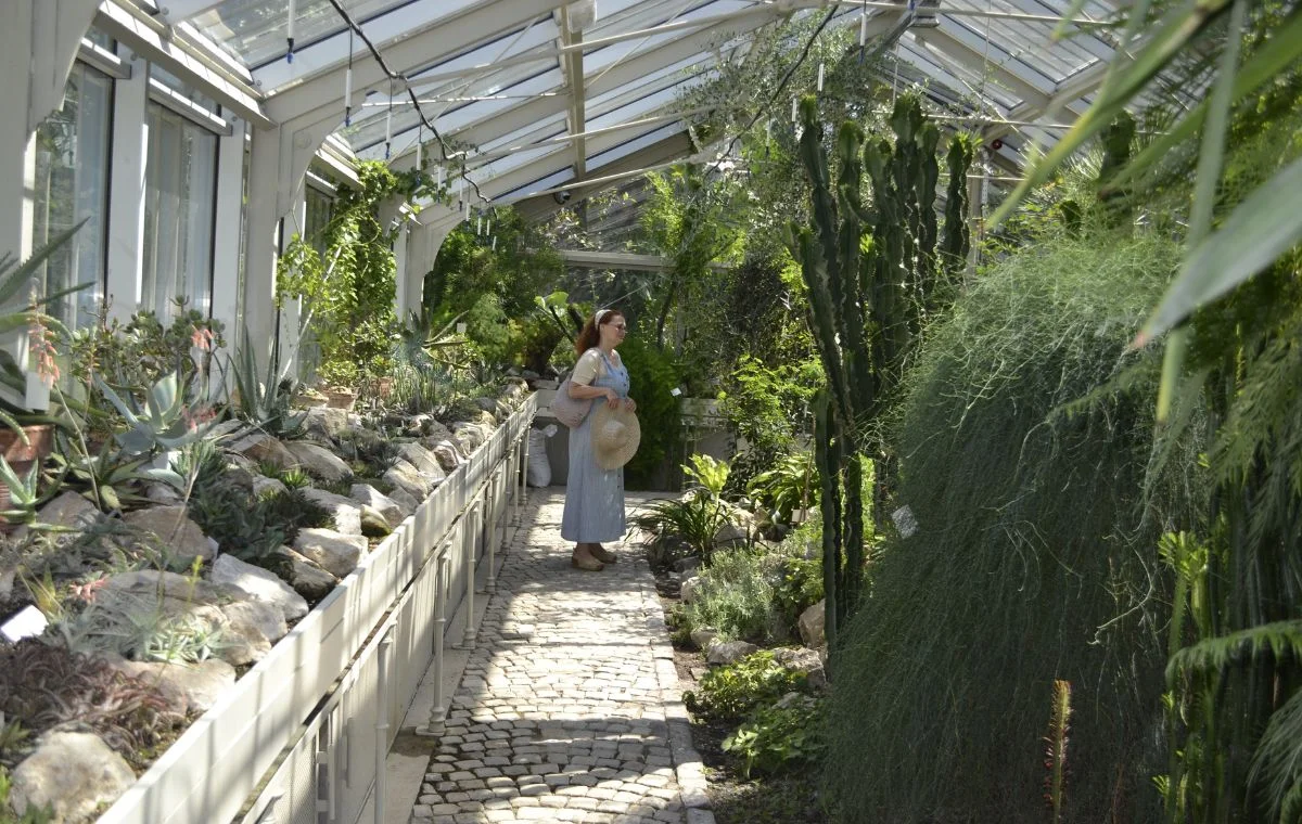 Greenhouse in Belgrade Botanical Garden