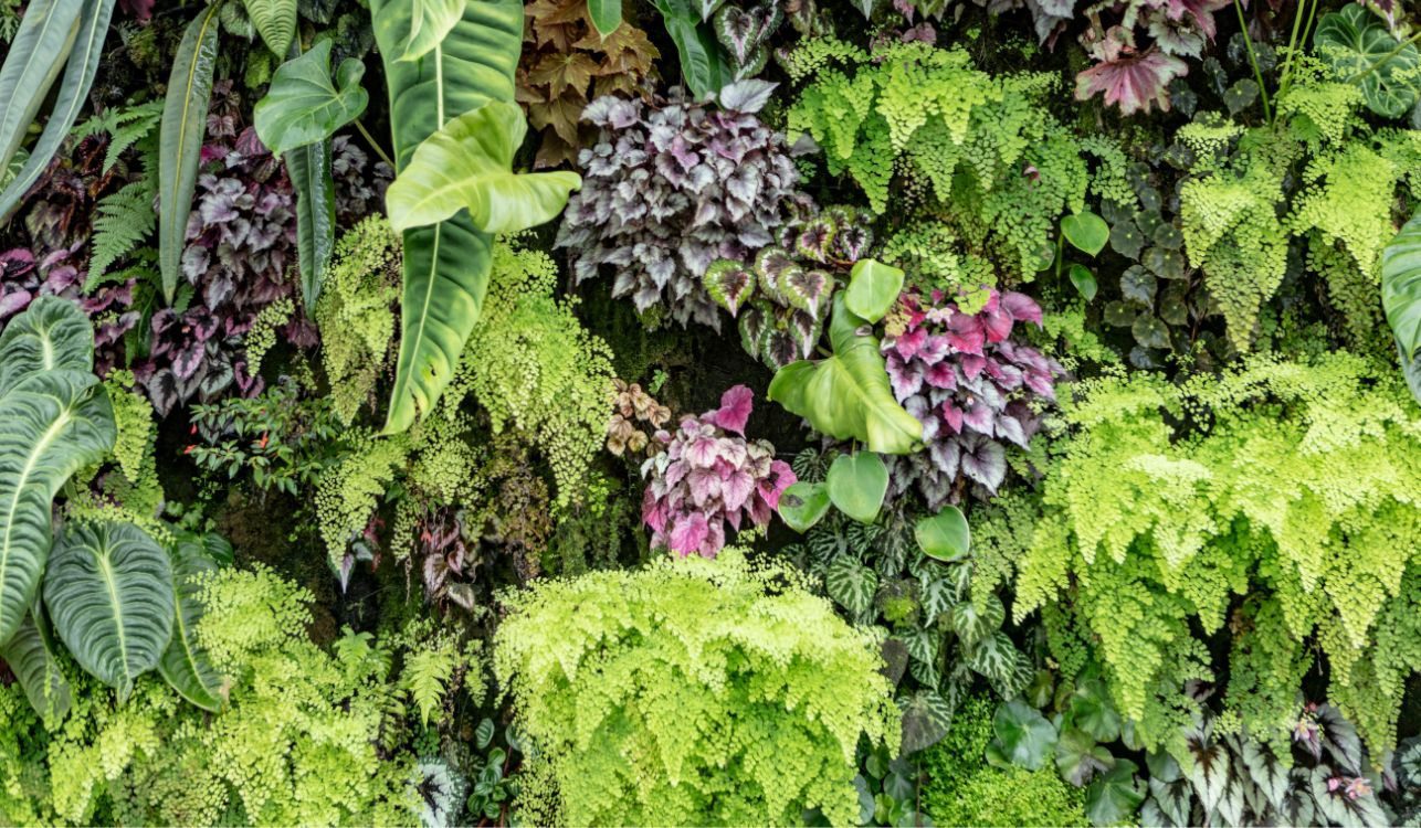 High-end vertical garden with lush tropical plants requires automatic irrigation for top performance.