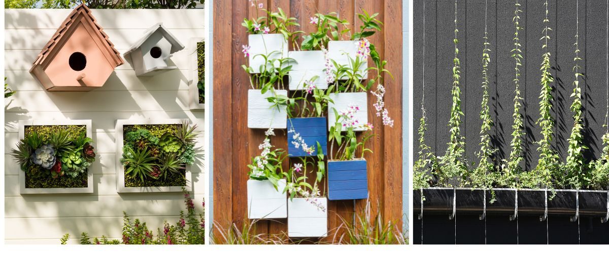 Types of vertical gardens: Succulents with frames, orchid pots, and brise-vegetal, with trellises and steel cables.