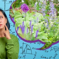 A woman thinking about spacing plants