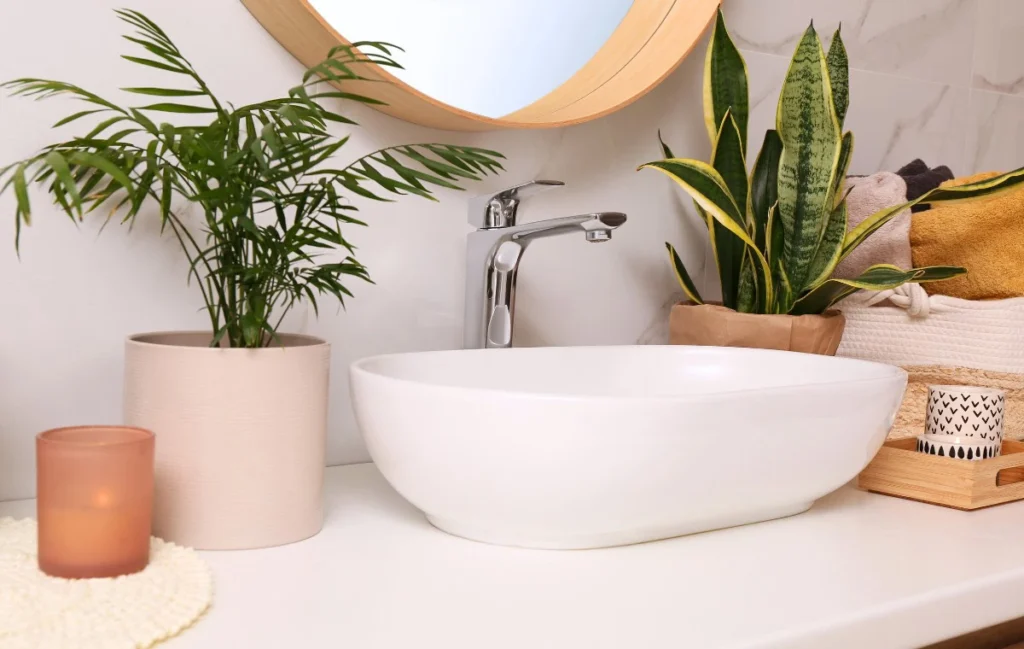 Plants for bathroom