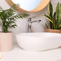 Plants for bathroom