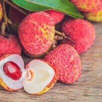 How to Grow Lychee from Seed: Step-by-Step Planting Guide