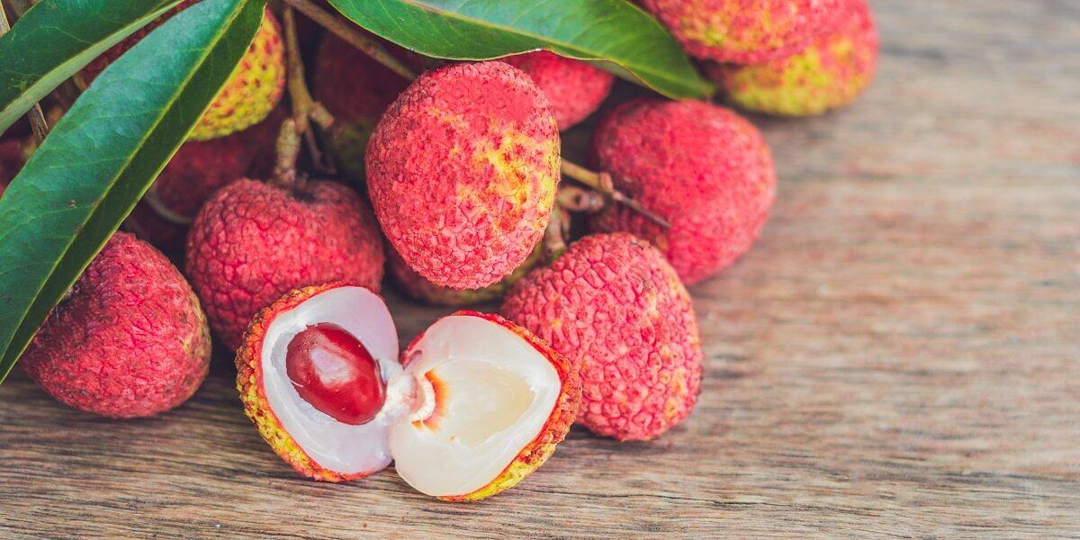 How to Grow Lychee from Seed: Step-by-Step Planting Guide