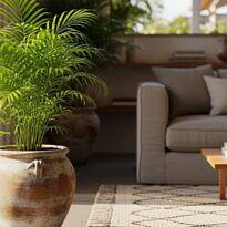 Essential Care Tips for a Healthy Areca Palm