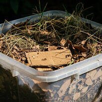 Gongocomposting in a Box: Step‑by‑Step Guide to Turning Food Scraps into Compost