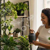 Plant Astrology: The Perfect Plant for Every Zodiac Sign