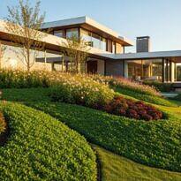 28 Best Plants for Slopes: Landscaping Ideas to Control Erosion