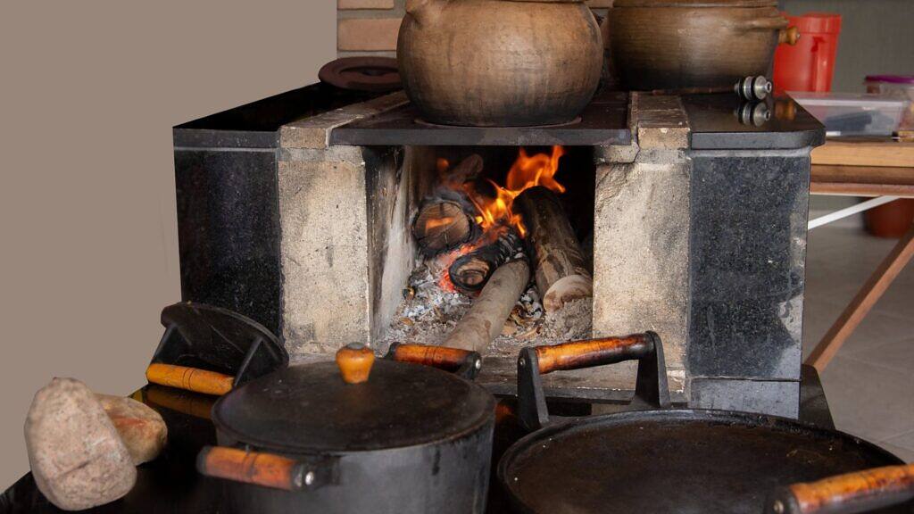 How to Use Wood Ash on Plants: A Complete Guide