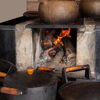 How to Use Wood Ash on Plants: A Complete Guide