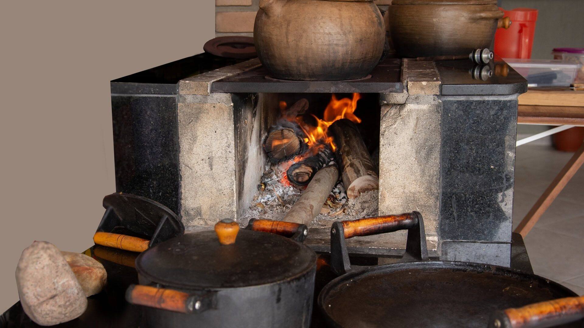 How to Use Wood Ash on Plants: A Complete Guide