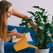 Substrate Flushing: How to Remove Excess Salts