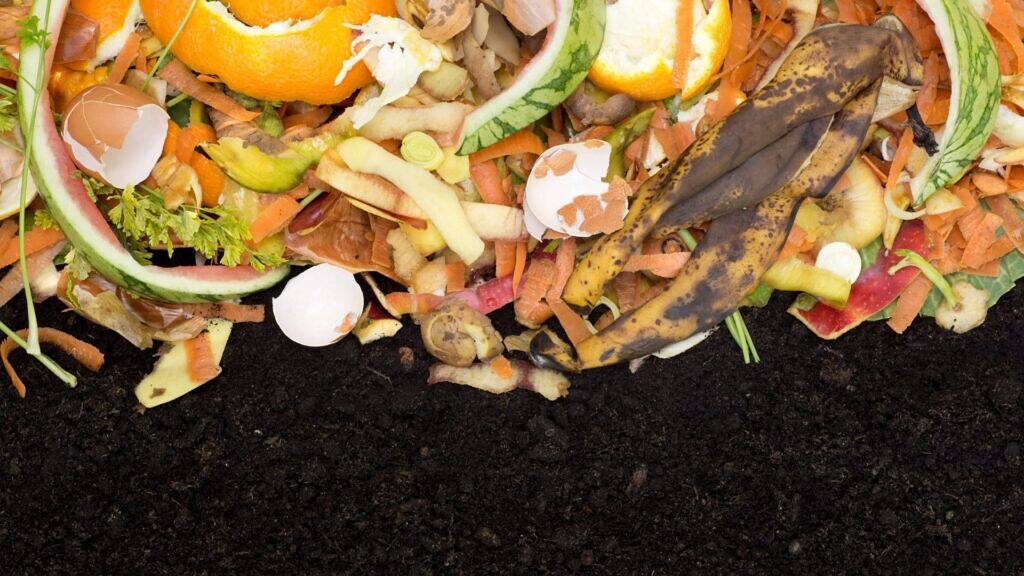 The Ultimate Guide to Composting and Organic Fertilizing