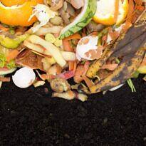 The Ultimate Guide to Composting and Organic Fertilizing