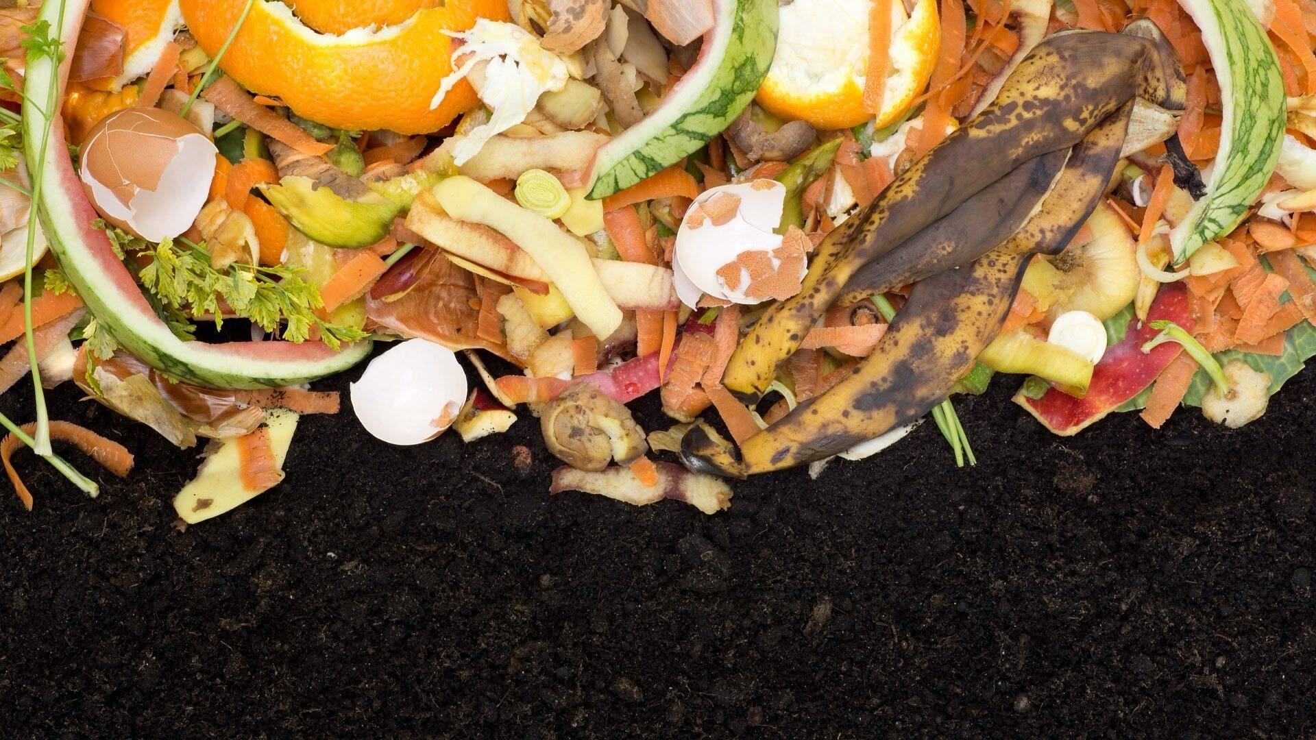 The Ultimate Guide to Composting and Organic Fertilizing